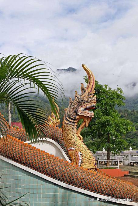Nāga effrayant, gardien du temple de montagne vers Chiang Mai - Thaïlande