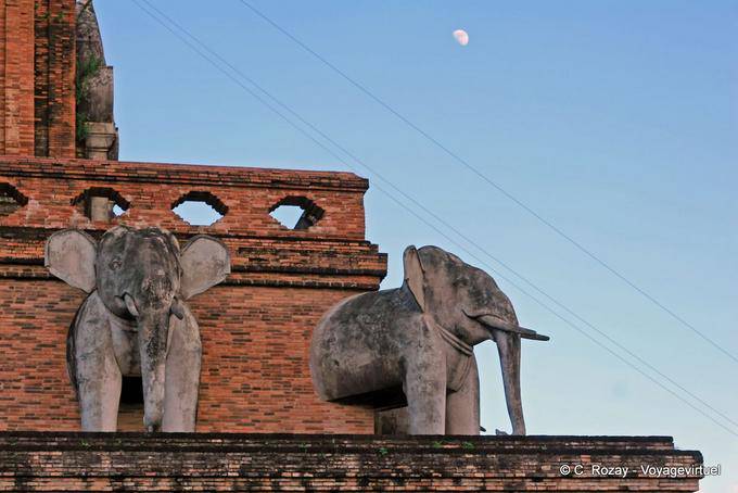 Eléphants et lune, Wat Chedi Luang, Chiang Mai - Thaïlande