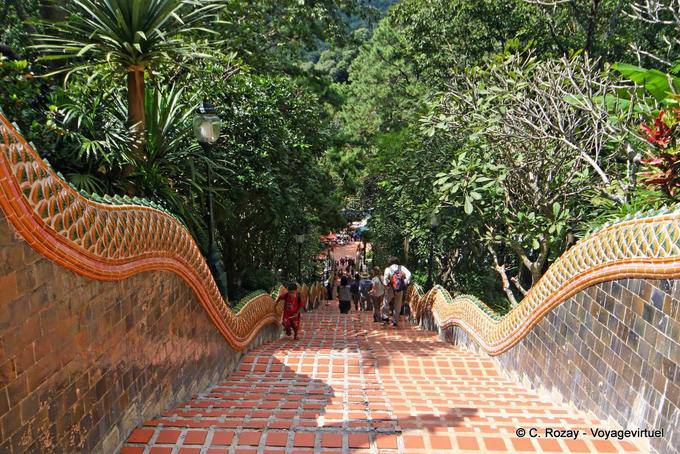 La montée des marches, Wat Doi Suthep, Chiang Mai - Thaïlande