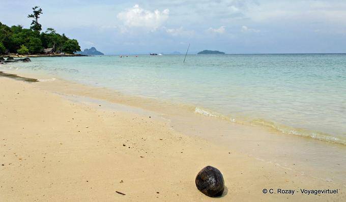 Coco sur la plage Hin Khom, Koh Phi Phi - Thaïlande
