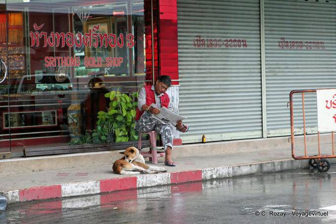 La lecture du journal, Phuket Town Gypsy - Thaïlande