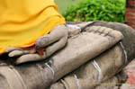 Main fleurie sur pied de bouddha, Wat Yai Chai Mongkol, Ayutthaya, Thaïlande.