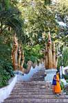 Escalier aux Nagas du Phrathat Doi Suthep, Chiang Mai Temple, Thaïlande.