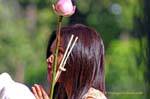 Prière fervente avec lotus, Chiang Mai Temple, Thaïlande.