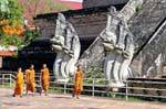 Moines et nagas, Wat Chedi Luang, Chiang Mai, Thaïlande.