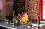 Moine studieux, Wat Phra Sing, Chiang Mai, Thaïlande.