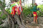 Dévotion dans la forêt, Koh Phi Phi, Thaïlande.