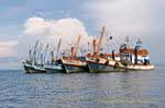 Une armada de chalutiers, Koh Phi Phi, Thaïlande.