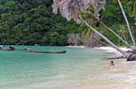Baignade sous les cocotiers, Koh Phi Phi, Thaïlande.