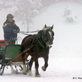 Traineau à cheval d'enfance