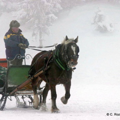 Traineau à cheval d'enfance