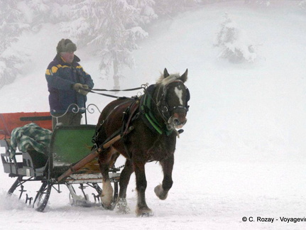 Traineau à cheval d'enfance