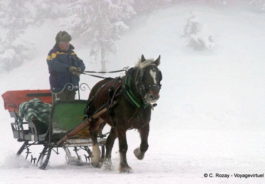 Traineau à cheval d'enfance