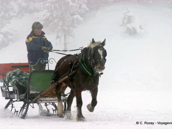 Traineau à cheval d'enfance