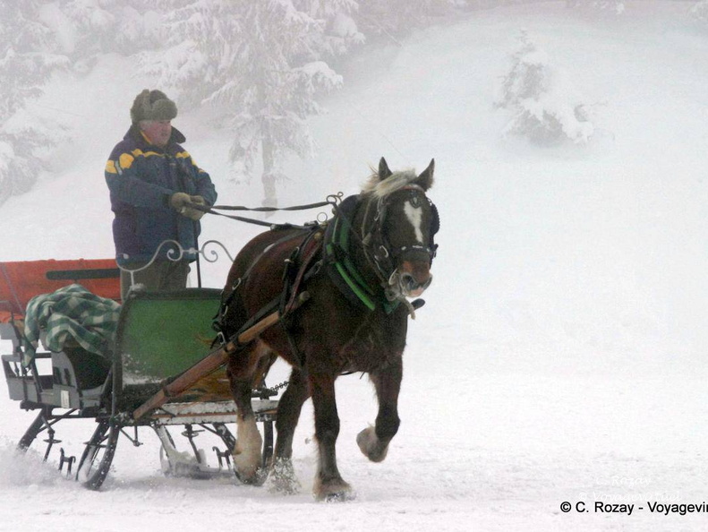 Traineau à cheval d'enfance