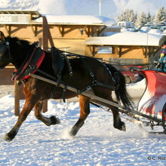 Le cheval volant, Avoriaz