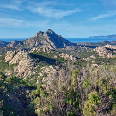 Desert des Agriates Vue depuis la D81 039