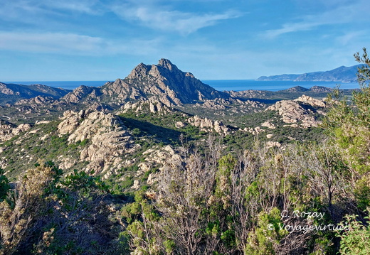 Desert des Agriates Vue depuis la D81 039