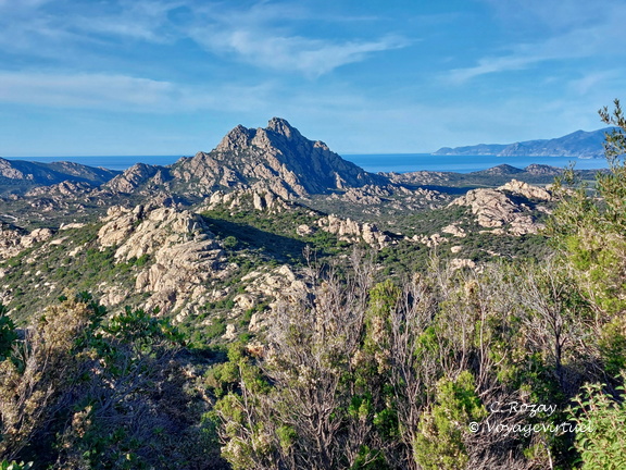 Desert des Agriates Vue depuis la D81 039