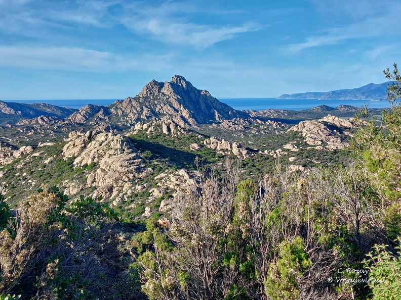 Desert des Agriates Vue depuis la D81 039