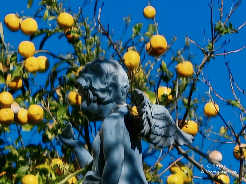 Saint Florent L ange et le citronnier 031