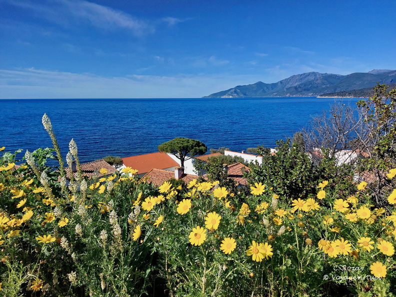 Saint Florent Point de vue depuis la Citadelle 034