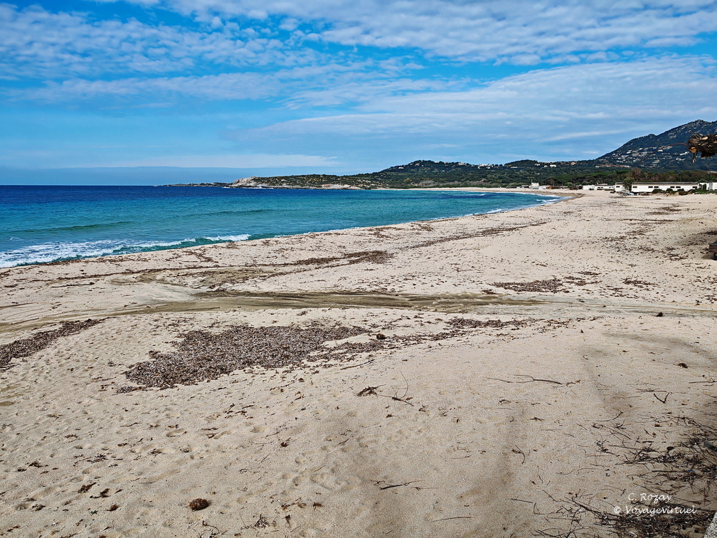 Algajola Plage d Aregno 265