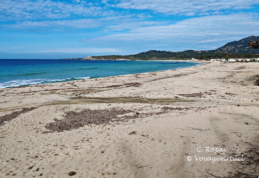 Algajola Plage d Aregno 265