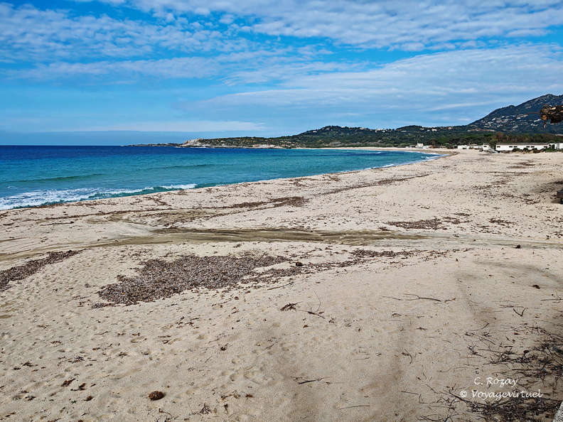 Algajola Plage d Aregno 265