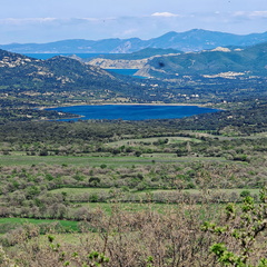 Aregno Point de vue sur plan d eau d E Cotule 100
