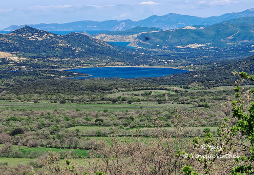 Aregno Point de vue sur plan d eau d E Cotule 100