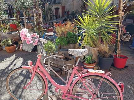 Belgodere Le velo rose 152