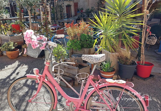 Belgodere Le velo rose 152