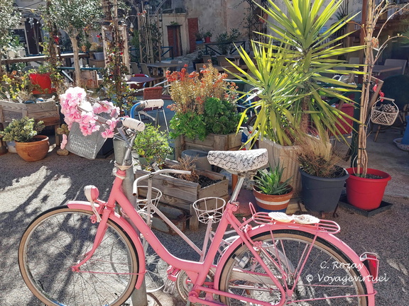 Belgodere Le velo rose 152