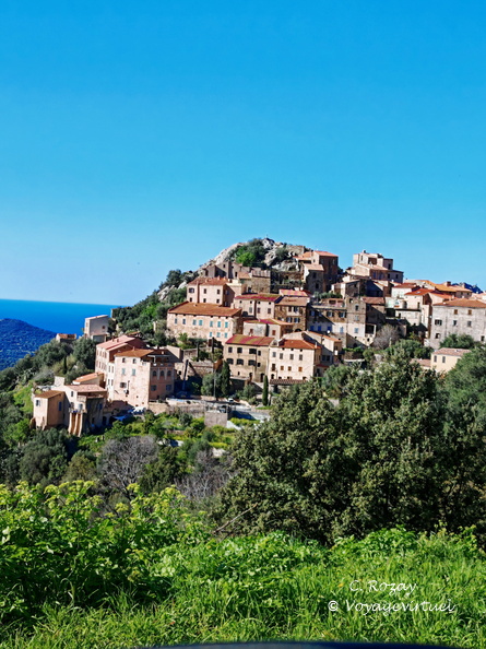 Balagne Ile Rousse, Belgodere Village Perche 1