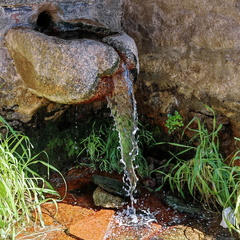 Corbara Fontaine en pierre 049