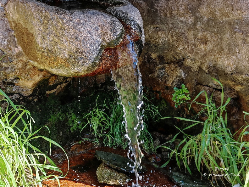 Corbara Fontaine en pierre 049