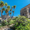 Montemaggiore Balagne 076