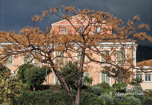 Bastia Quai des Martyrs 025