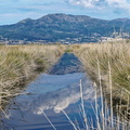 Etang de Biguglia Ile San Damiano 161