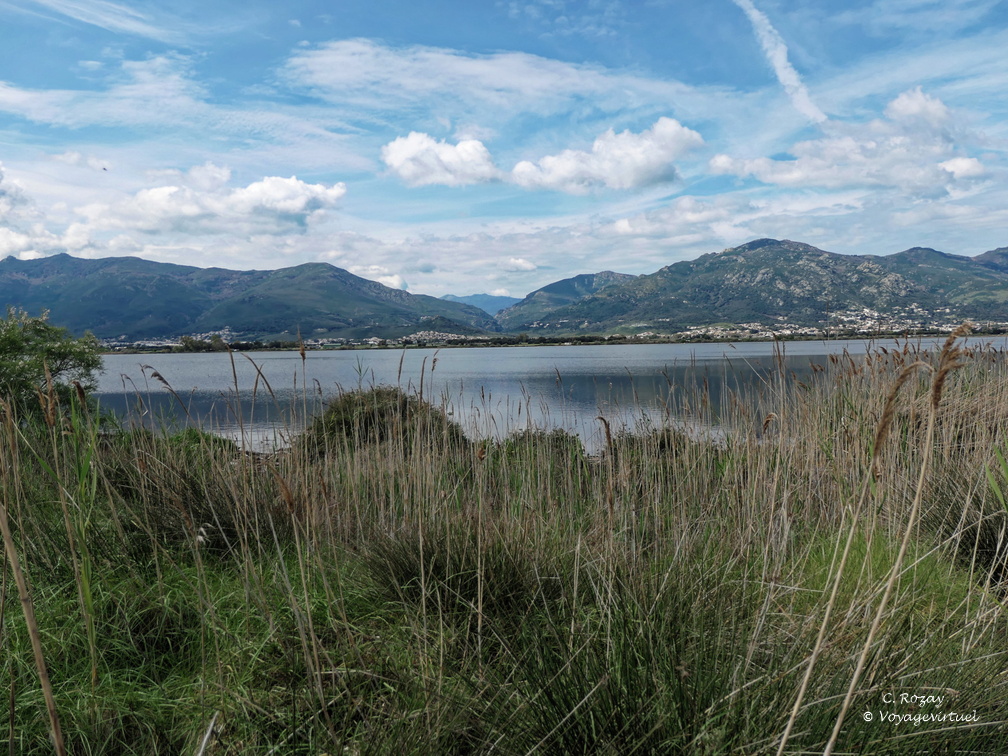 Etang de Biguglia Ile San Damiano 164