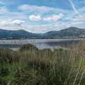 Etang de Biguglia Ile San Damiano 164