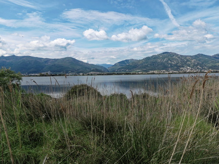 Etang de Biguglia Ile San Damiano 164