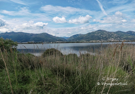 Etang de Biguglia Ile San Damiano 164