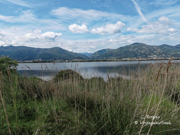 Etang de Biguglia Ile San Damiano 164