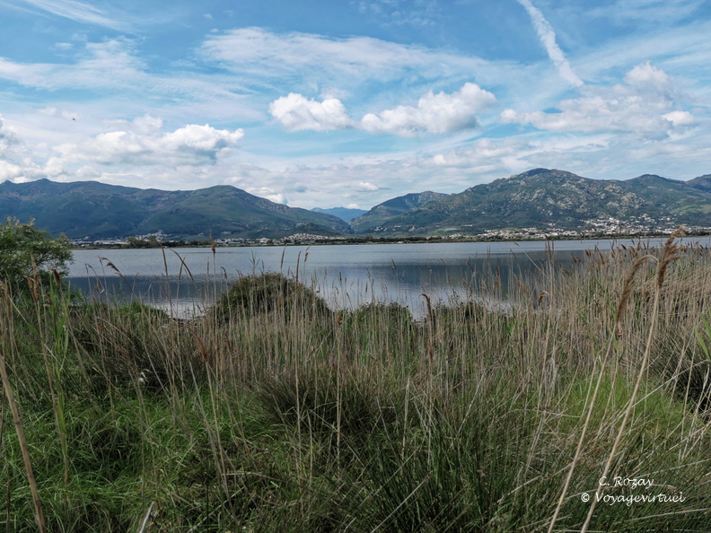 Etang de Biguglia Ile San Damiano 164