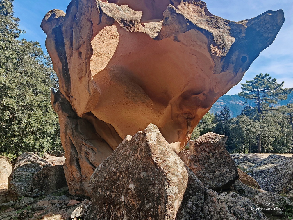 Calanche di Piana La tete de chien 406