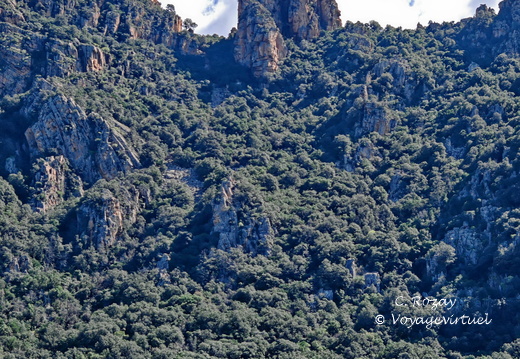 Calanques de Piana Le chateau de pierre 368