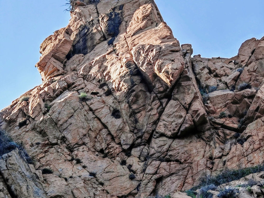 Calanques de Piana Nid de balbuzard pecheur 322