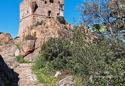Porto La tour Genoise carree 251